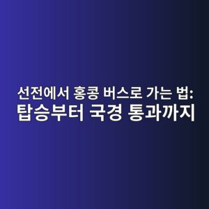 선전에서 홍콩 버스로 가는 법: 탑승부터 국경 통과까지 2 ec84a0eca084ec9790ec849c ed998decbda9 ebb284ec8aa4eba19c eab080eb8a94 ebb295 ed8391ec8ab9ebb680ed84b0 eab5adeab2bd ed86b5eab3bceab98c 1786266059