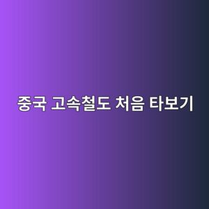 중국 고속철도 처음 타보기: 표 예매부터 보안검색·탑승까지 5 eca491eab5ad eab3a0ec868decb2a0eb8f84 ecb298ec9d8c ed8380ebb3b4eab8b0 1786268199