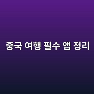 중국 여행 필수 앱 정리: 알리페이·디디·지도·번역 앱 실제 사용기 8 eca491eab5ad ec97aced9689 ed9584ec8898 ec95b1 eca095eba6ac 1786267805