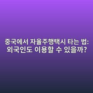 중국에서 자율주행택시 타는 법: 외국인도 이용할 수 있을까? 5 eca491eab5adec9790ec849c ec9e90ec9ca8eca3bced9689ed839dec8b9c ed8380eb8a94 ebb295 ec99b8eab5adec9db8eb8f84 ec9db4ec9aa9ed95a0 ec8898 1786265090